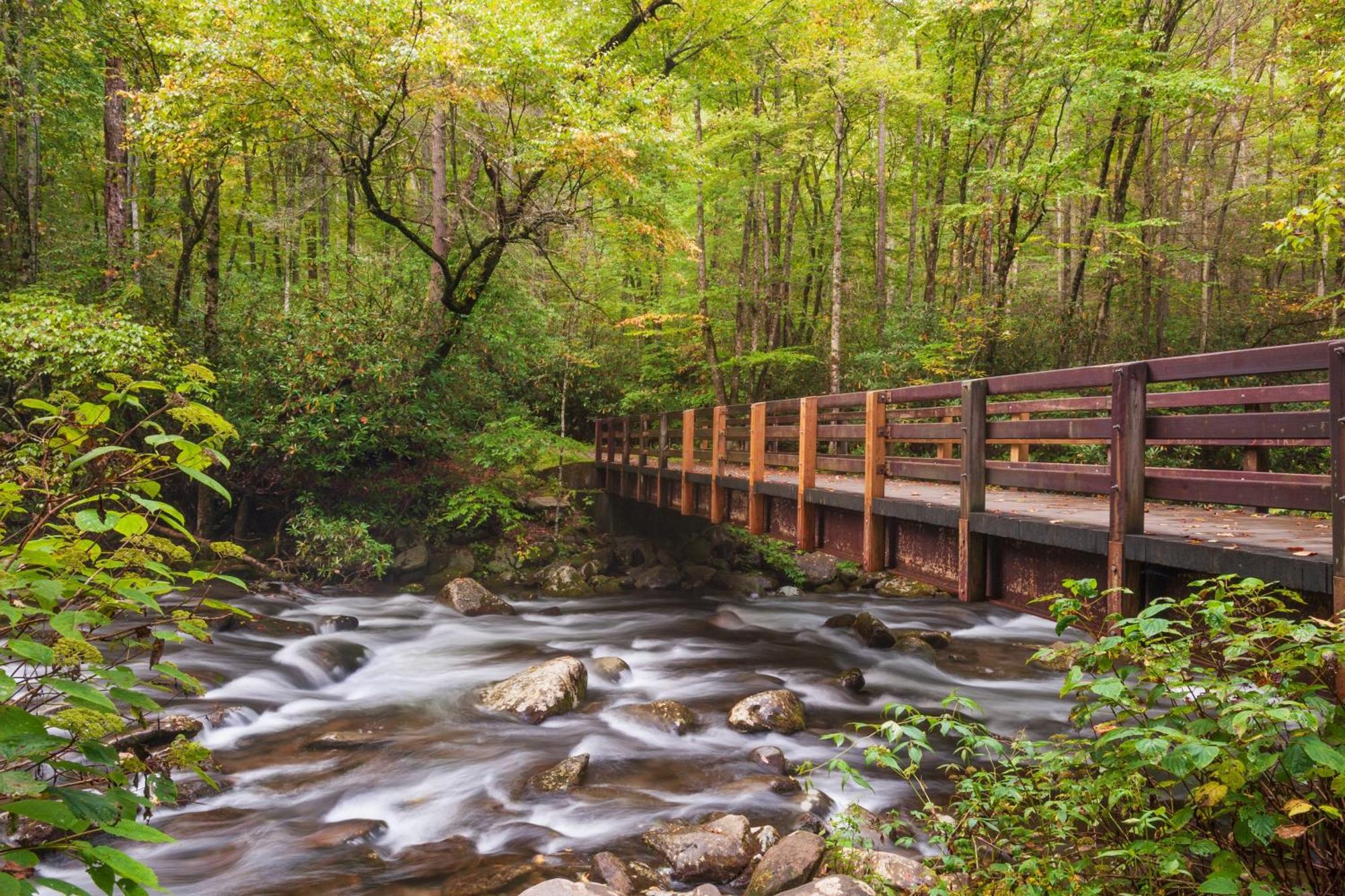 The Mason Jar, Hot Tub, Wifi, 1089 Free Tickets Each Paid Day, Dollywood And More! Pigeon Forge Kültér fotó